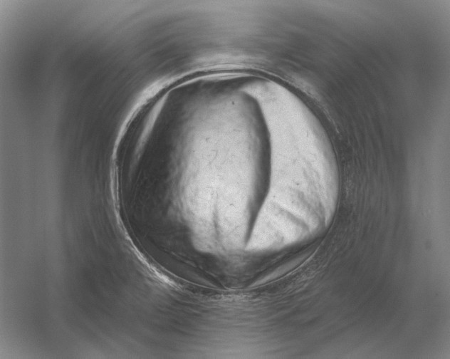 X0000054361472200508191806