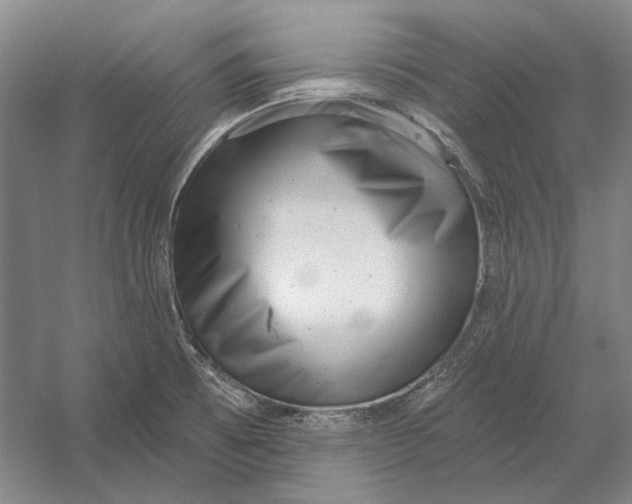 X0000054361473200508191806