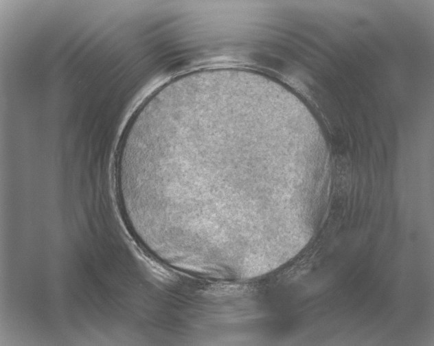 X0000054361474200508191806