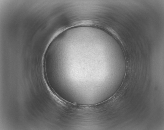 X0000054361475200508191806