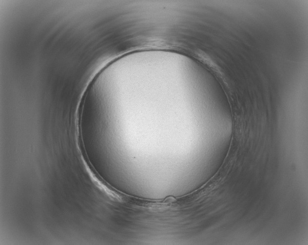 X0000054361479200508191806