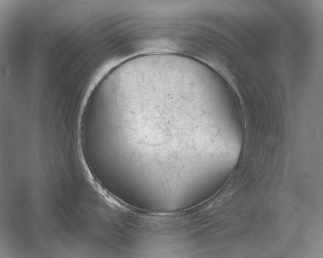 X0000054361488200508191806
