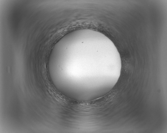 X0000054361489200508191805
