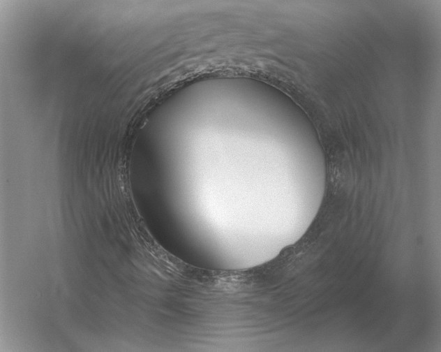 X0000054361490200508191805