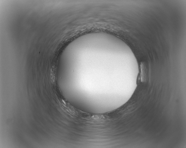 X0000054361491200508191805