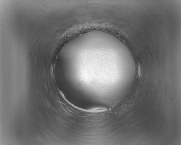 X0000054361492200508191805