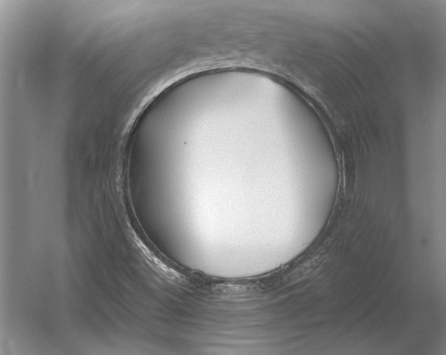 X0000054361500200508191806