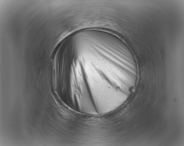 X0000054361505200508191806