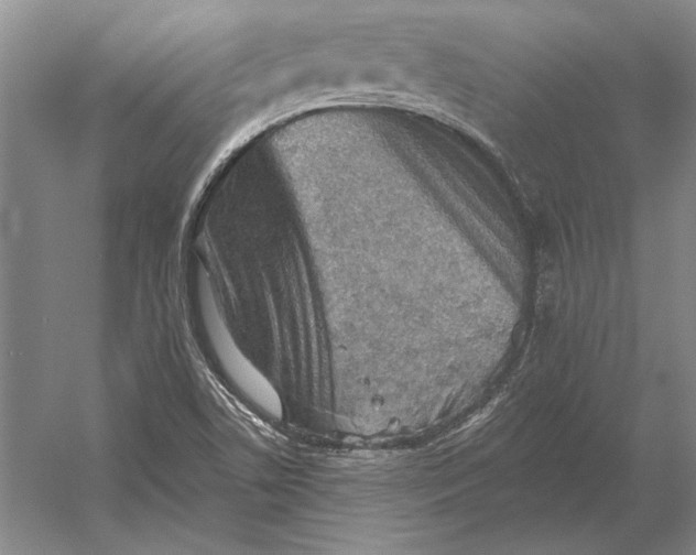 X0000054361506200508191806