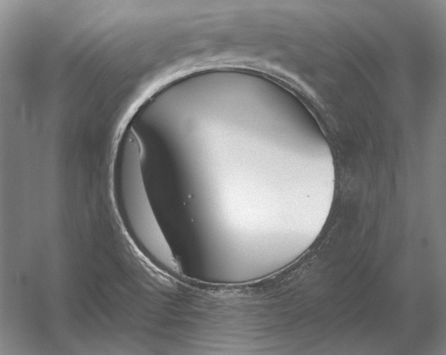 X0000054361512200508191806