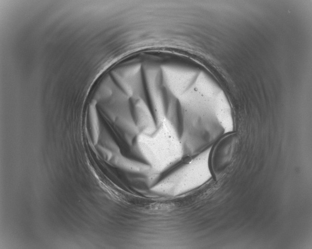 X0000054361513200508191806