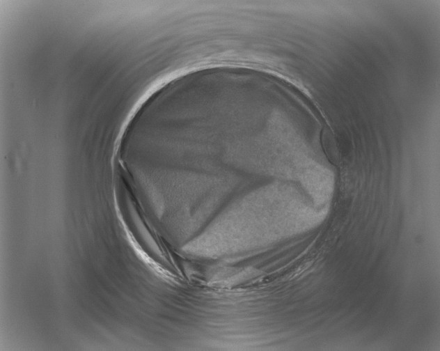 X0000054361515200508191806