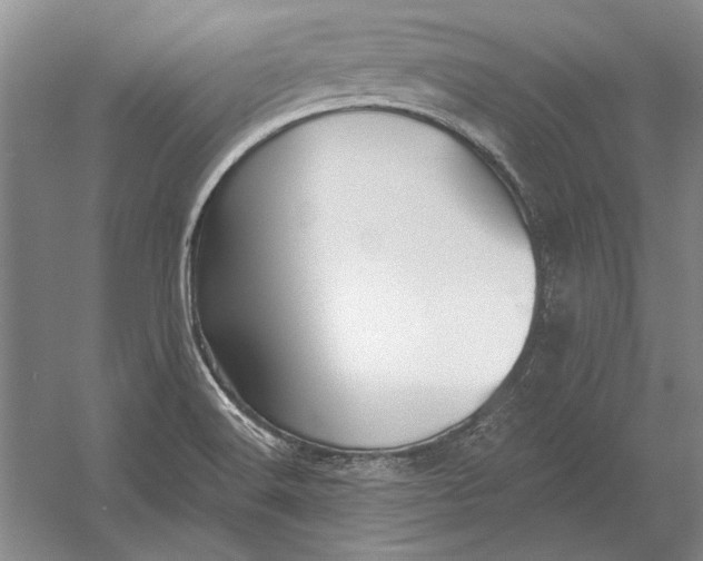 X0000054361516200508191806
