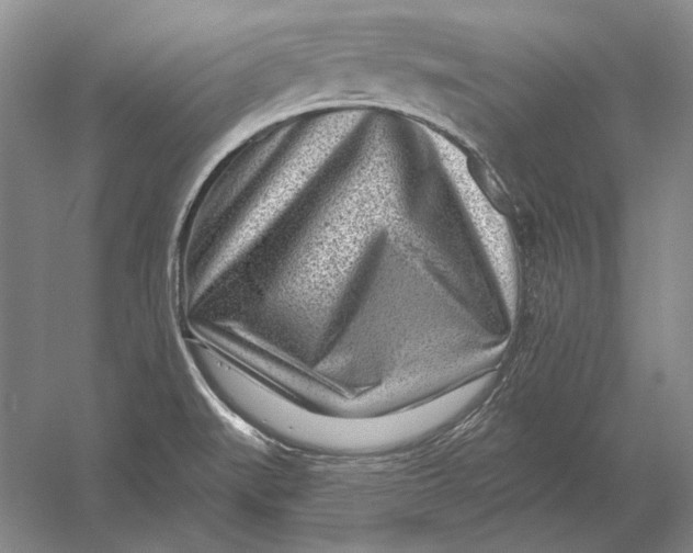 X0000054361519200508191806