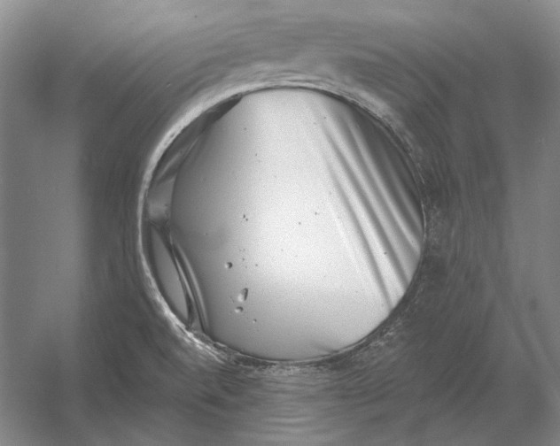 X0000054361520200508191806