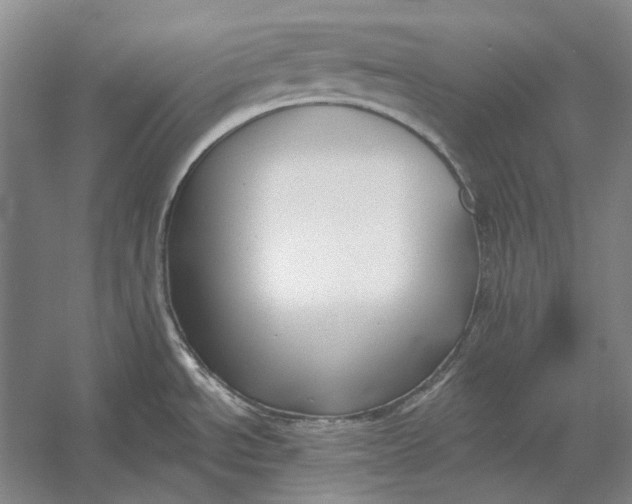 X0000054361534200508191806