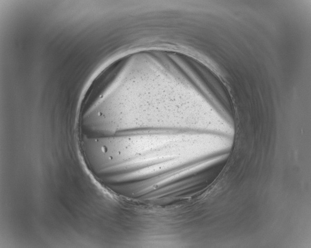 X0000054361536200508191806