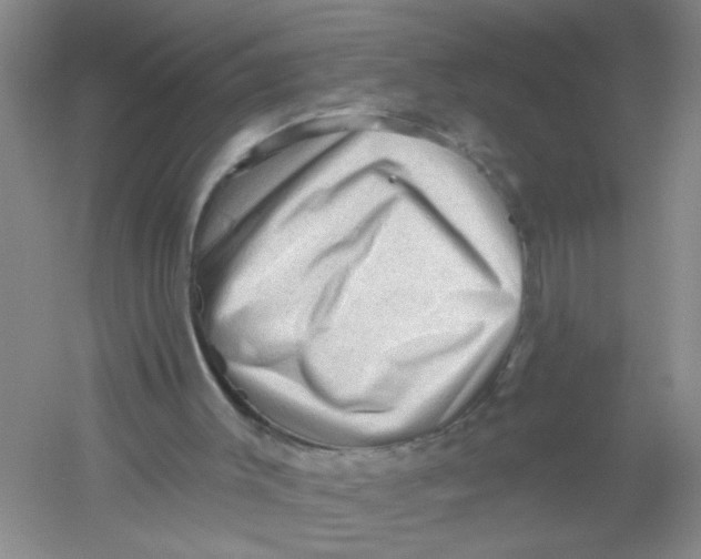 X0000054360003200508262327