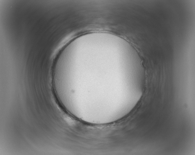 X0000054360005200508262327