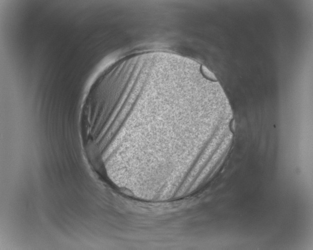 X0000054360006200508262327