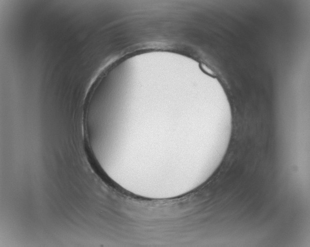 X0000054360011200508262327