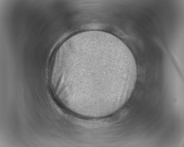 X0000054360012200508262327