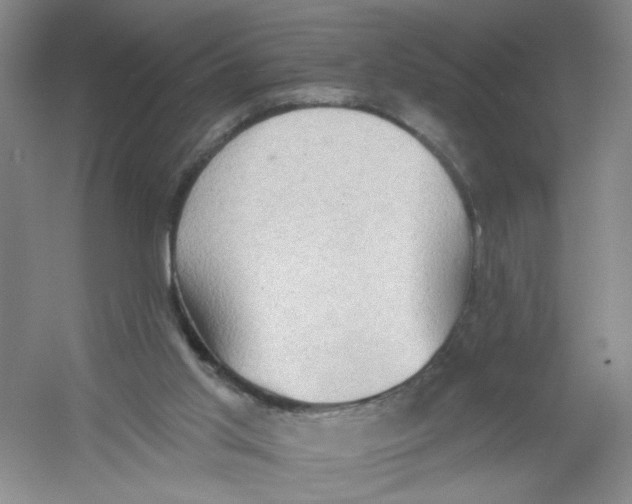 X0000054360013200508262327
