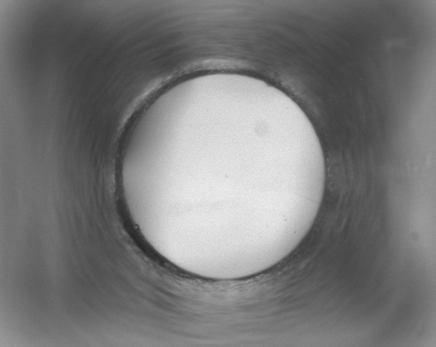 X0000054360015200508262327