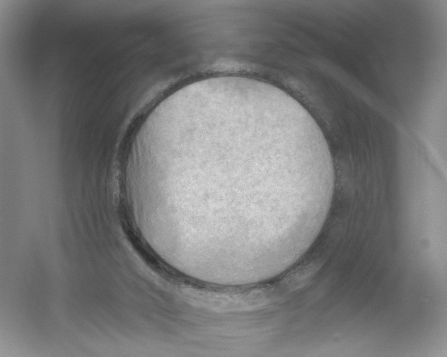X0000054360016200508262327