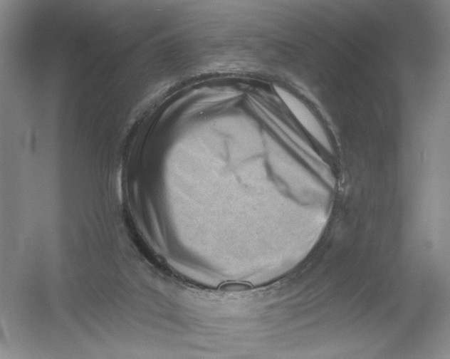 X0000054360019200508262327