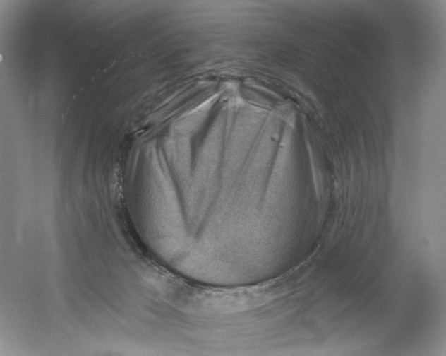X0000054360029200508262327