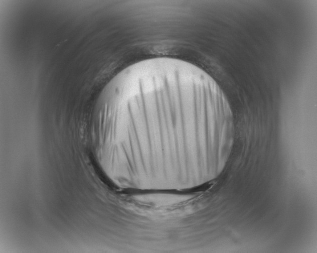 X0000054360031200508262326