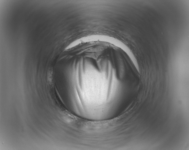 X0000054360033200508262326