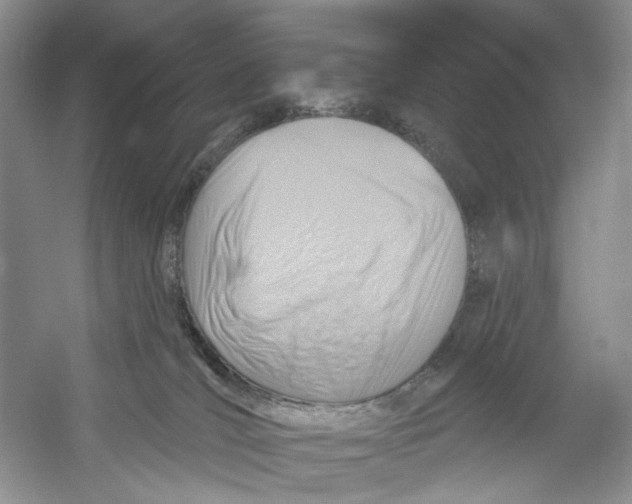 X0000054360036200508262326