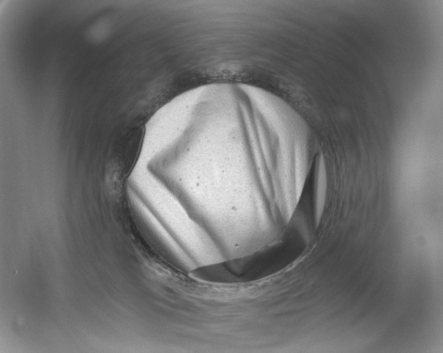 X0000054360037200508262326