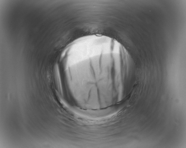 X0000054360039200508262326