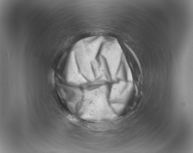 X0000054360041200508262326