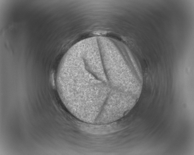 X0000054360042200508262326