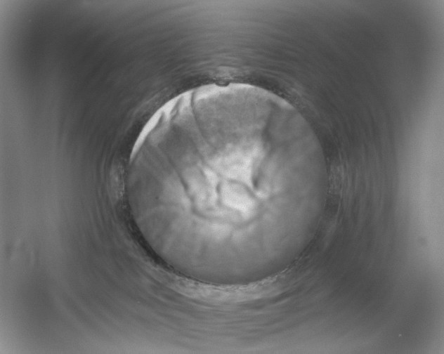 X0000054360043200508262326