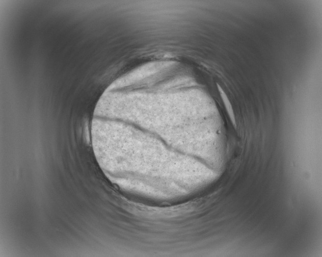 X0000054360046200508262326