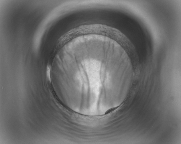 X0000054360047200508262326