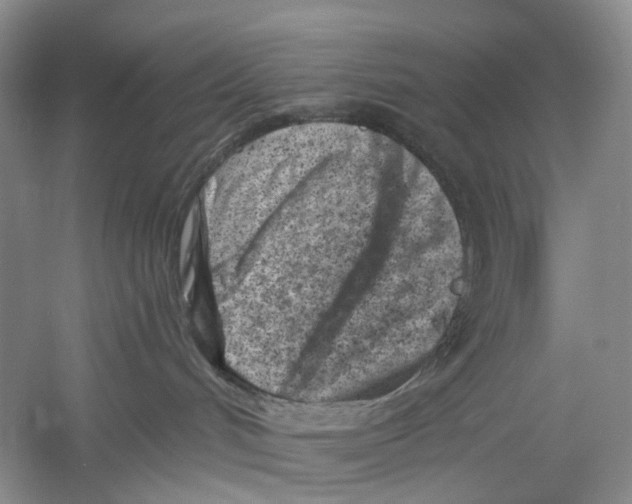 X0000054360048200508262326