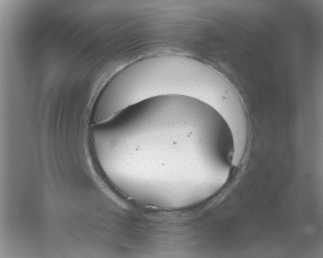 X0000054360049200508262325