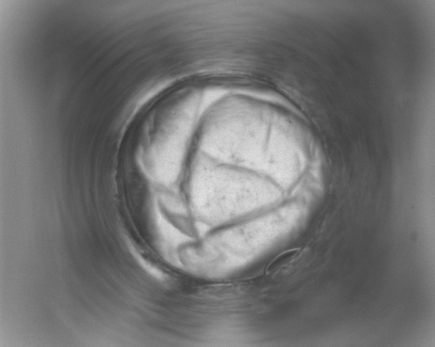 X0000054360050200508262325