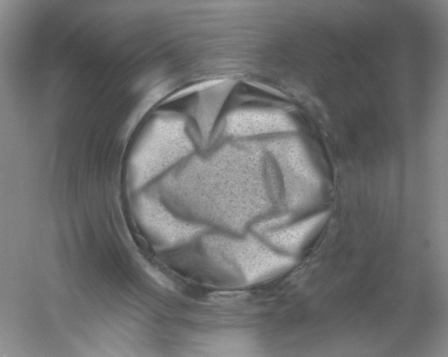 X0000054360051200508262325