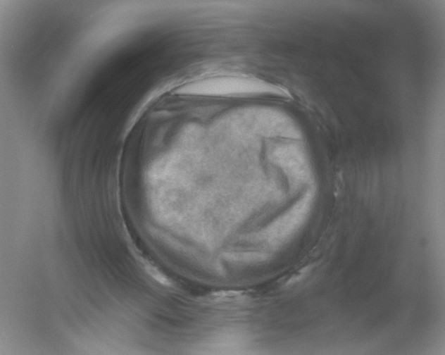 X0000054360052200508262325