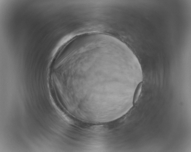 X0000054360054200508262325