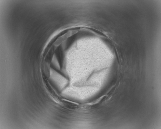 X0000054360056200508262325