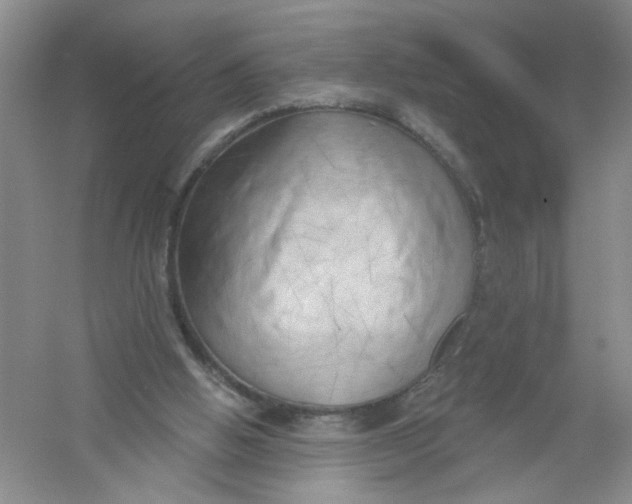 X0000054360058200508262326