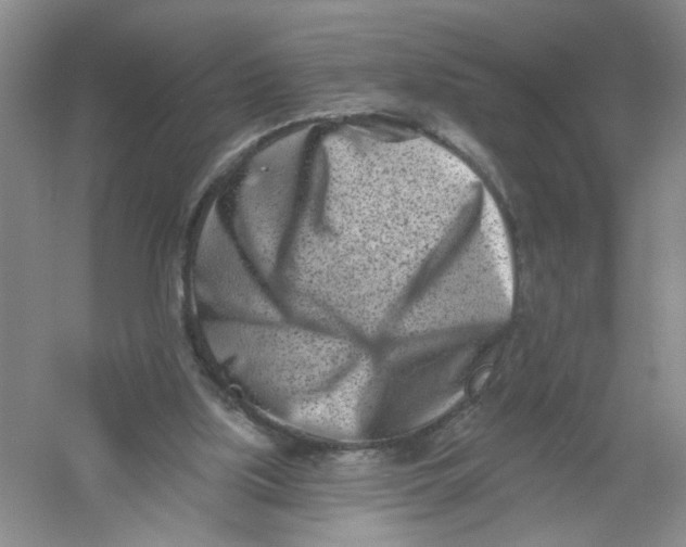 X0000054360059200508262326